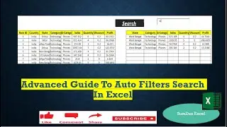 Advanced Guide to Auto Filters Search In Excel 