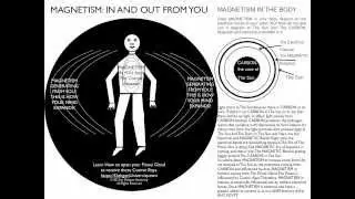 Magnetism In and Out of You through the Cosmic Universe