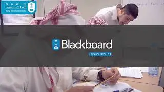 BB Intro New