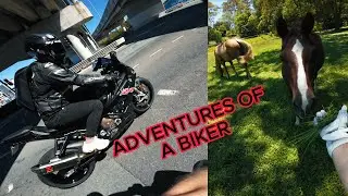 Sometimes my Rides Become More than I Anticipate