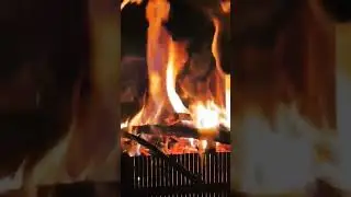 #shortsvideo#shorts#2024#пламя#мангал#live#отдых#смотрим#наслаждайсяжизнью#тишина#нравится#я