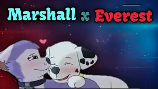 Marshall x Everest-Crashing