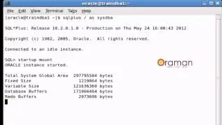 how to do  rman backup and recovery