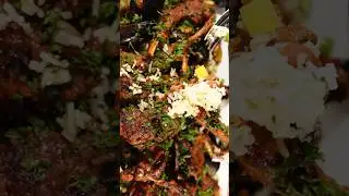 Stew lamb chop and mussels #shortvideo #food #viralvideo #foodie #viral