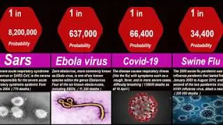 Probability comparison most deadliest viruses - Microorganisms Size Comparison -Probability & Deaths