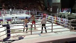 ЧиП Росси 2018, лоу-кик, Томск, Артём Штырков, финал