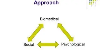 Chronic Pain and Physiotherapy