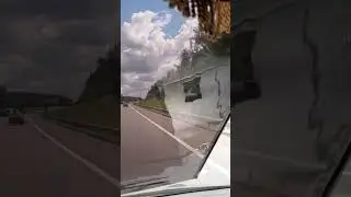 Рулон обоев 🤔 или иранская тонировка)))