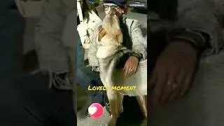 Johnny is a Pet Lover