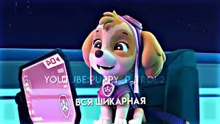 Paw patrol