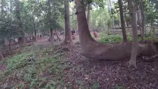 HITTING_FROM_BEHIND