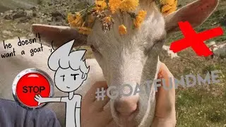 Lixian & the Goat 🐐