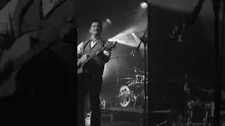 Galway Girl - The Whistlin' Donkeys