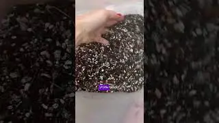 ПРОБЛЕМЫ С ЗАМИОКУЛЬКАСОМ / здесь все о растениях, подпишись!