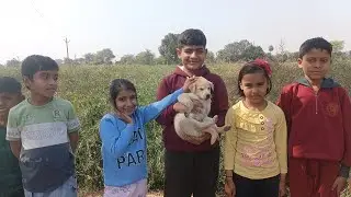 गांव में बच्चों के साथ मस्ती की @dearlsy ने।। बहुत मजा आया।।