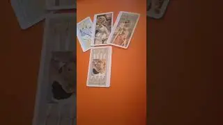 #shorts С кем он спит в эти выходные ❓#shortsonline #shots #shors #short #shortvideo #shortsvideo