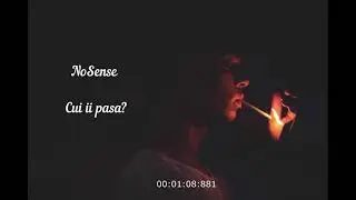 NoSense  - Cuii ii pasa?  (Official Audio 2021)
