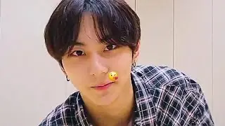 𝙅𝙪𝙣𝙜𝙬𝙤𝙣 𝙖𝙣𝙙 𝙝𝙞𝙨 𝙛𝙡𝙮𝙞𝙣𝙜 𝙠𝙞𝙨𝙨𝙚𝙨 𖹭