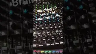 Unlocking the secrets of the Braincell Studio - Revealed