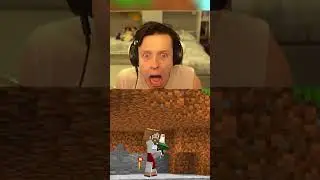 NON PREGARE MAI SU MINECRAFT…