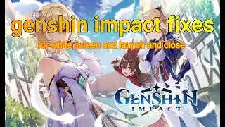 genshin impact fix for white screen and launch then close, please see description for more details
