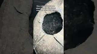 THIS is how aggressively Sewer RATS get into your house… 