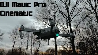 DJI Mavic Pro Platinum | Cinematic [4K]