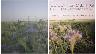 Color Greading: LUT erstellen mit Lightroom und LUT Generator