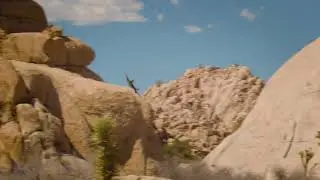 Sky Viper Vector Stunt Plane