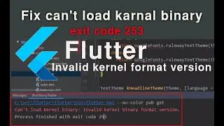Fix Invalid kernel binary format version. exit code 253 | flutter 2021