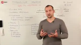 Без ТЗ - результат ХЗ - детально о техническом задании