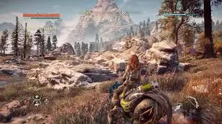 Restarting horizon zero dawn my game crashed