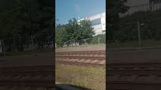 вот это красотка! #смешное
