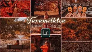 lightroom tutorial 2020 - taramilktea lightroom presets | Autumn lightroom filter 2020