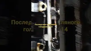 Последствия масляного голодания 2114