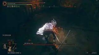 Elden Ring DLC 고립 감옥의 기사, 하남자 빌드