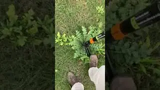 🍀 Удалитель сорняков