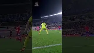 ¡LA ARAÑA! 🕷️🇦🇷 #EliminatoriasSudamericanas