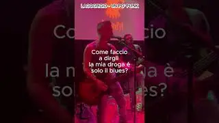Lagogrigio Live Performance - Un Po' Punk _ Arese_Luglio 2024