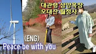 2023 가을, 평창 여행 🍁Samyang Ranch, Mt.Odae in November