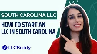 How to Form an LLC in South Carolina (Step by Step Guide) | South Carolina LLC 2024 Setup
