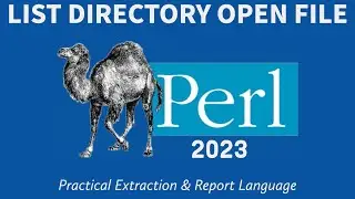 Perl Projects- List Files In Directory & Open Text File 2023