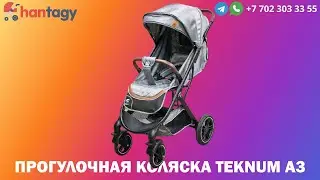 Прогулочная коляска Teknum А3 silver, с доставкой по Алматы