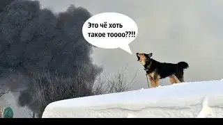 Ковш для бигбегов,  всякие ништяки для мтз-82,  Зимняя суета фермера