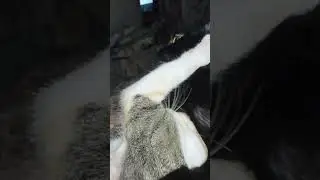 awal nya aja manis, ujung nya nyakitin