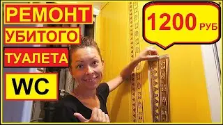 The GIRL ALONE made TOILET REPAIR for $ 20 and 3 DAYS
