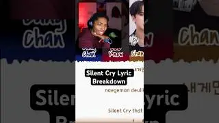 The True Meaning Behind Stray Kids Silent Cry 💭😱