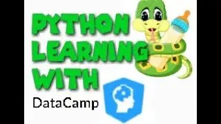 Python Learning Using Datacamp For Beginners