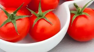 The Tomato Challenge