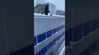 Джельтельмены удачи, взяли халтурку на двоих😂😂😂